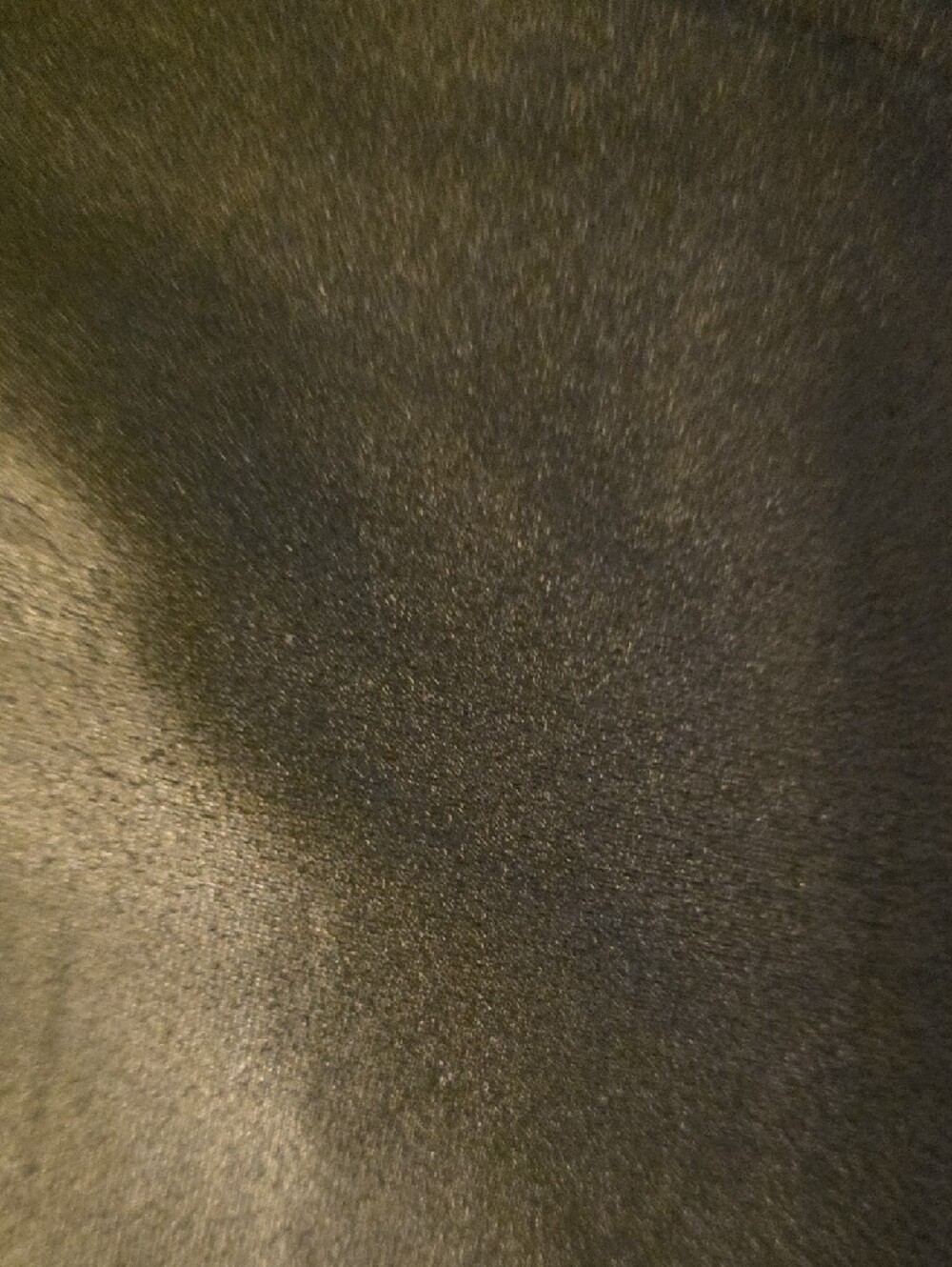 SPANX Faux Shimmer Leather High-Rise Jeggings in Black - Picture 4 of 4
